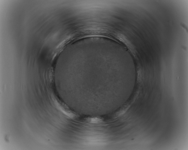 X0000099540165200805161436