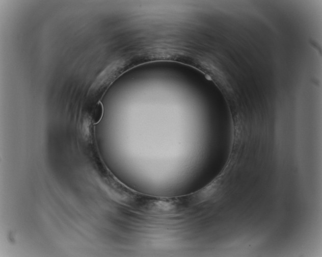 X0000099540166200805161436