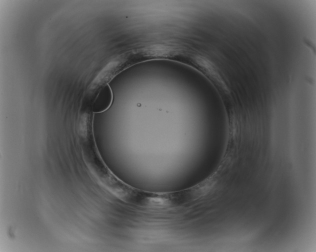 X0000099540167200805161436