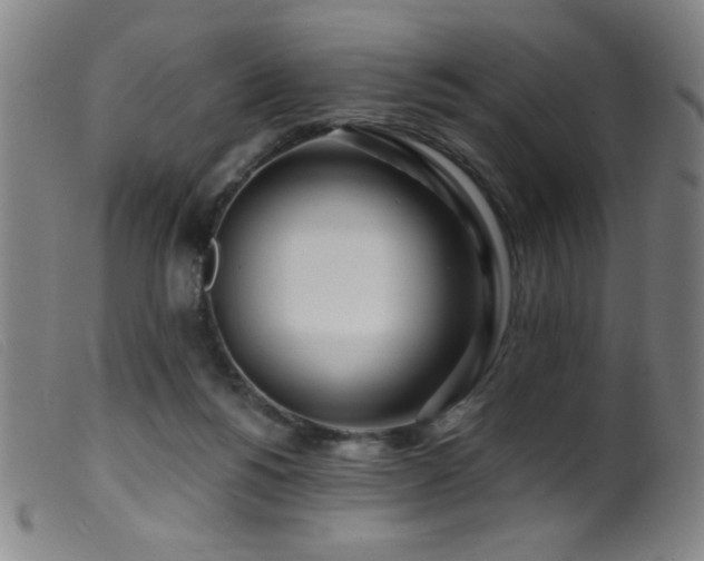 X0000099540168200805161436