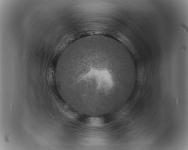 X0000099540169200805161436