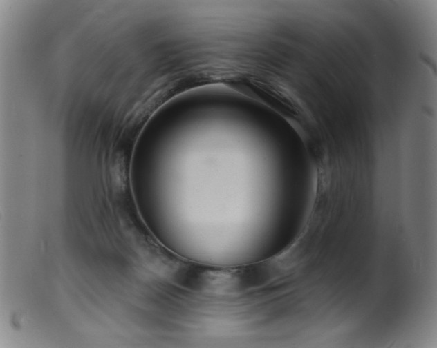 X0000099540170200805161436