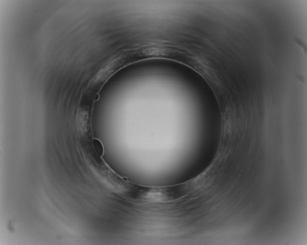 X0000099540171200805161436