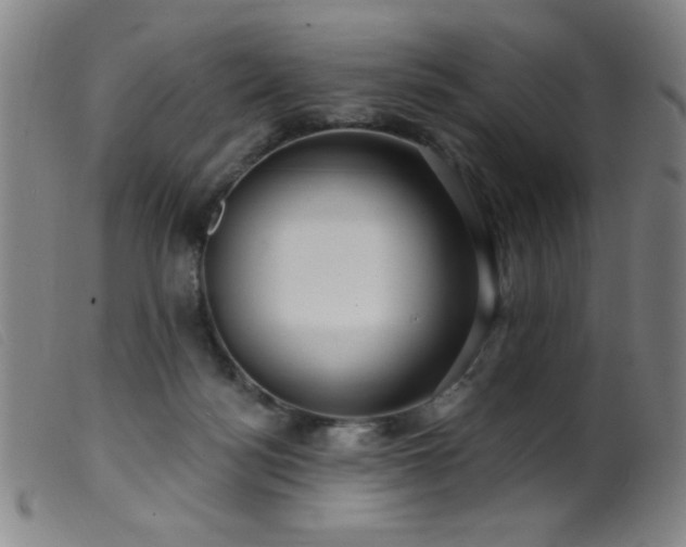 X0000099540172200805161436