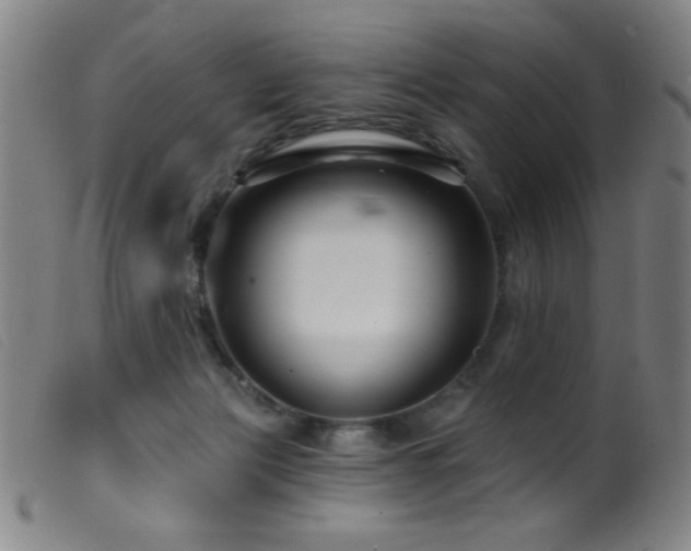 X0000099540173200805161436