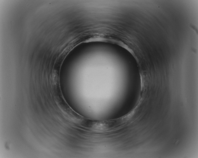 X0000099540174200805161436