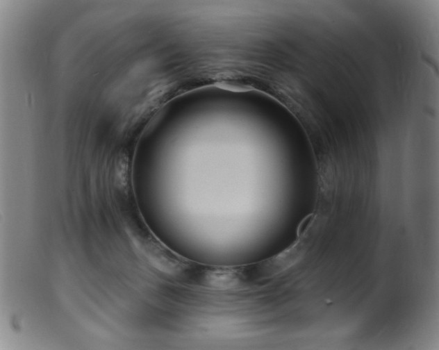 X0000099540175200805161436