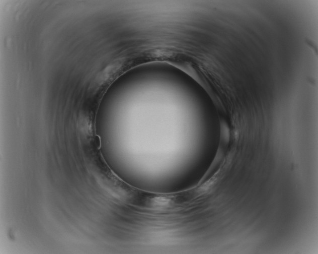 X0000099540176200805161436