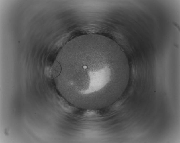 X0000099540177200805161436