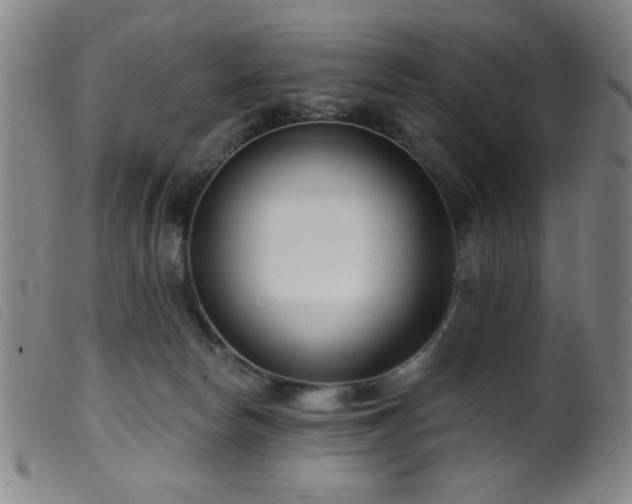 X0000099540178200805161436