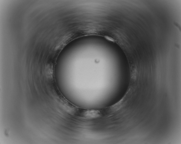 X0000099540179200805161436