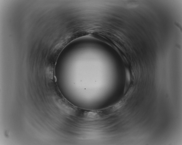 X0000099540180200805161436