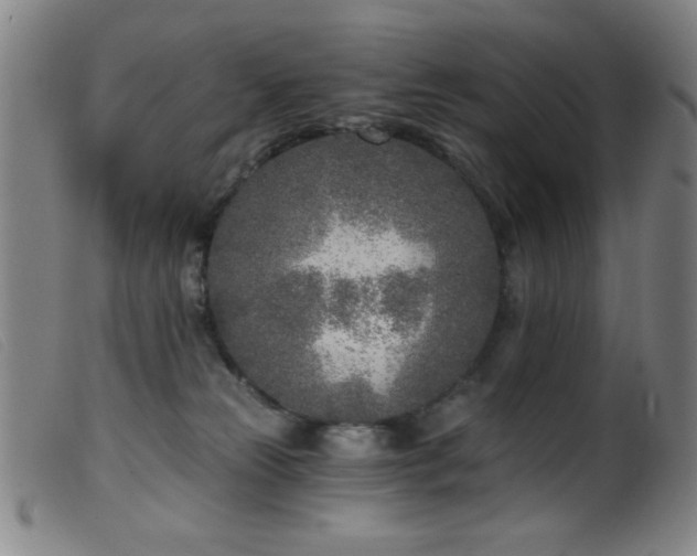 X0000099540181200805161436