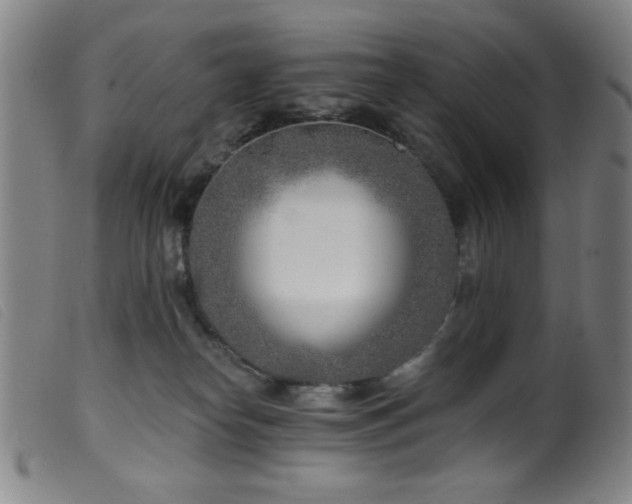 X0000099540182200805161436