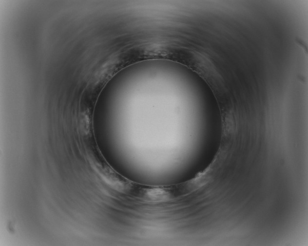 X0000099540183200805161436