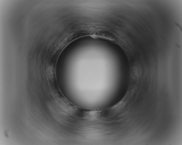 X0000099540184200805161436