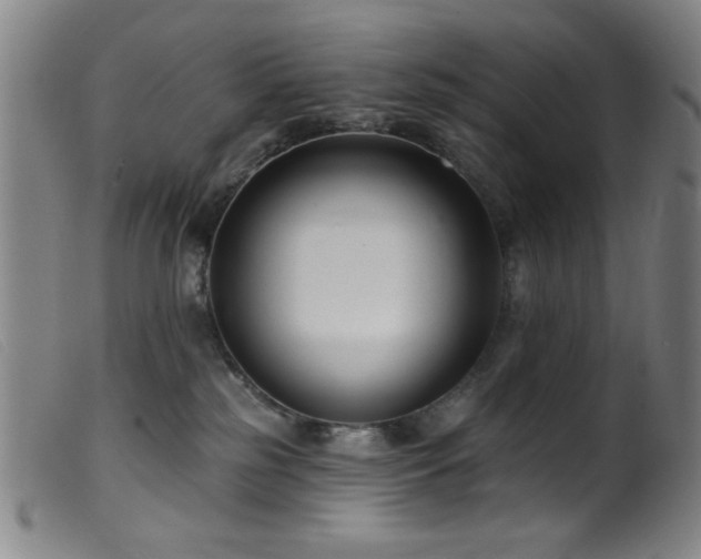 X0000099540185200805161436