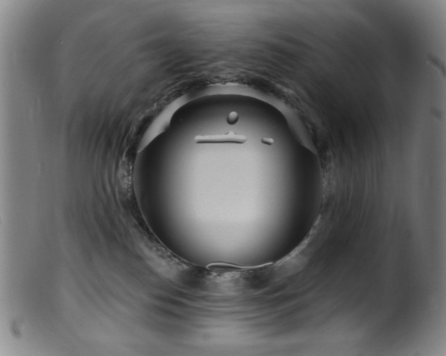 X0000099540186200805161436