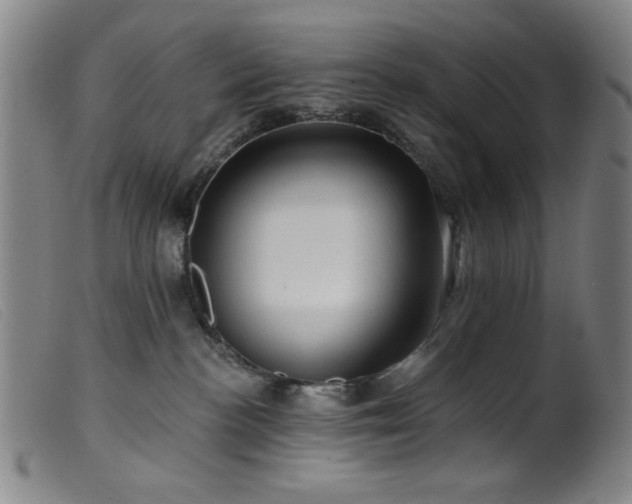 X0000099540188200805161436