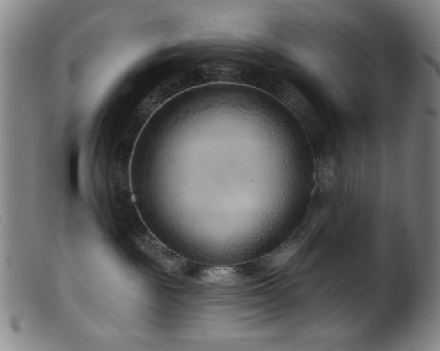 X0000099540189200805161436