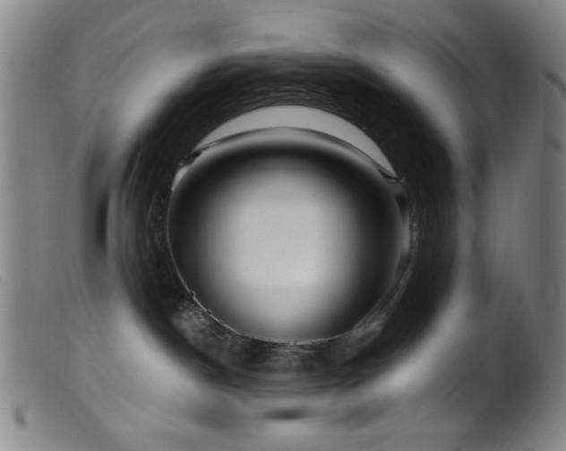 X0000099540190200805161436