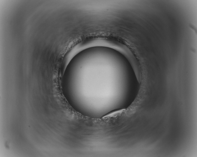 X0000099540192200805161437