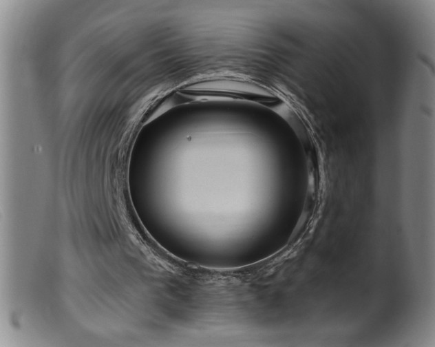 X0000099540193200805161436