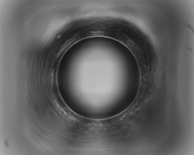 X0000099540194200805161436