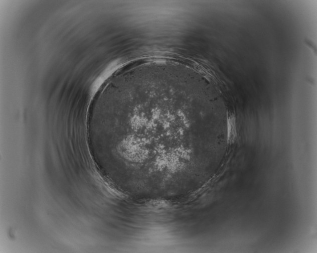 X0000099540195200805161436