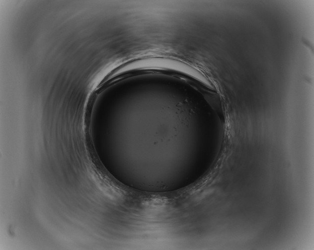 X0000099540196200805161436