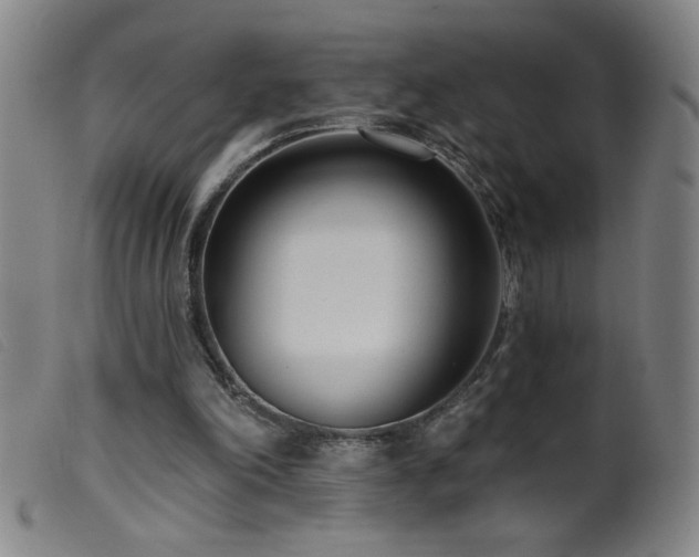 X0000099540198200805161436