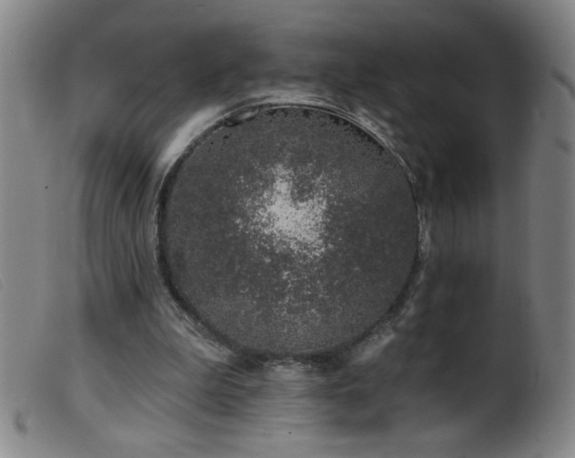 X0000099540199200805161436