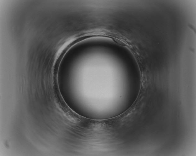 X0000099540200200805161436