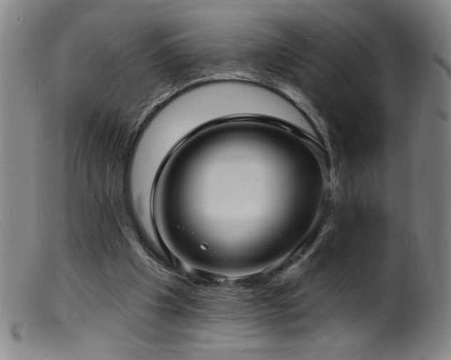 X0000099540201200805161436