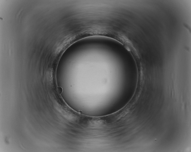 X0000099540202200805161436