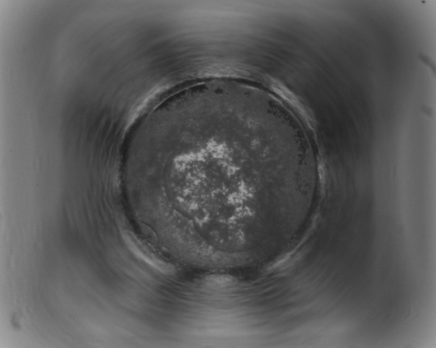 X0000099540203200805161436