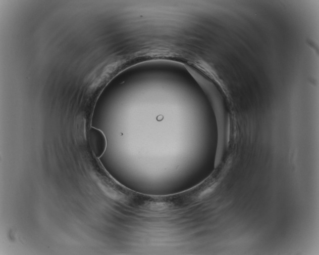 X0000099540205200805161436