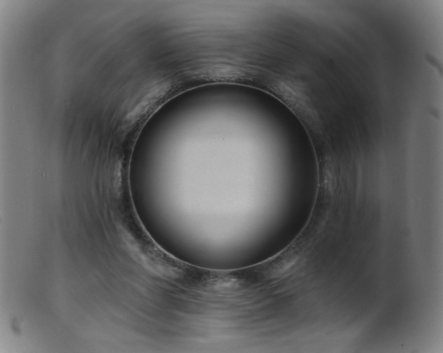 X0000099540206200805161436