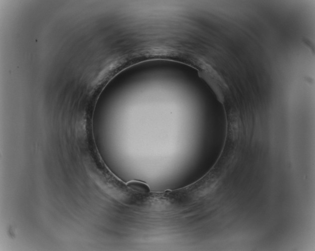 X0000099540207200805161436