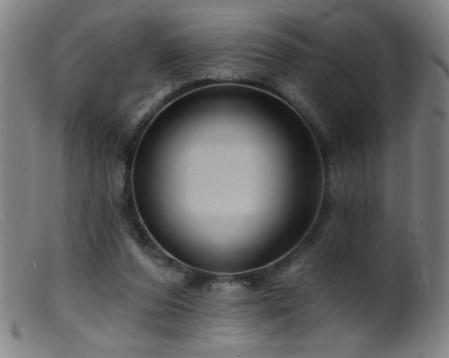 X0000099540208200805161436