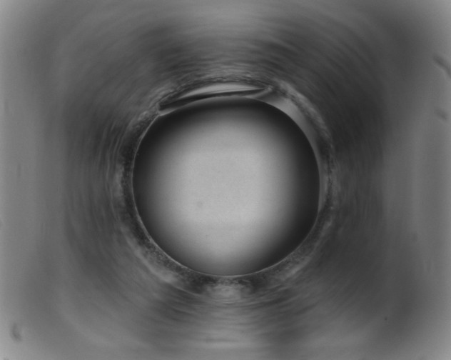 X0000099540209200805161436