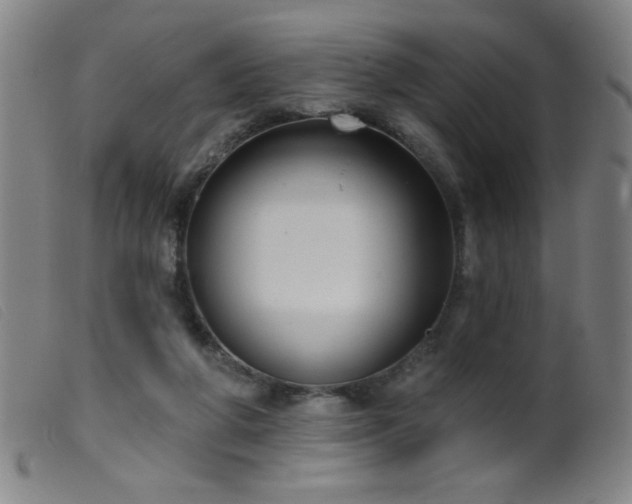 X0000099540210200805161436