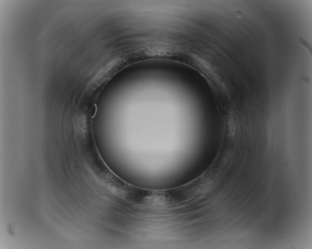 X0000099540211200805161436