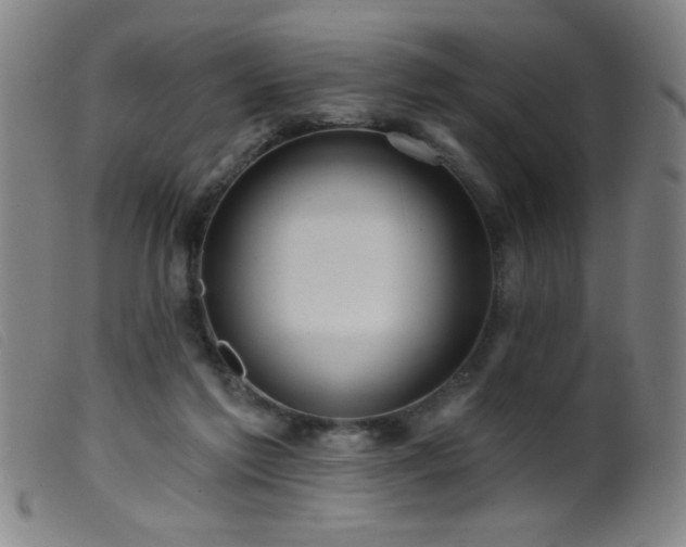 X0000099540213200805161436