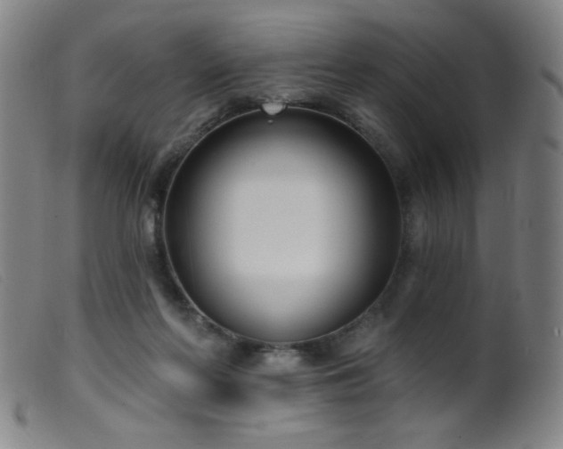 X0000099540214200805161436