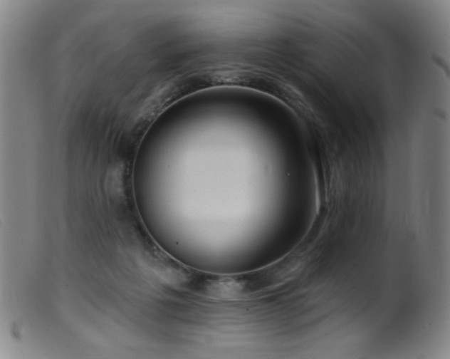 X0000099540217200805161435