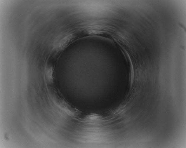 X0000099540219200805161435