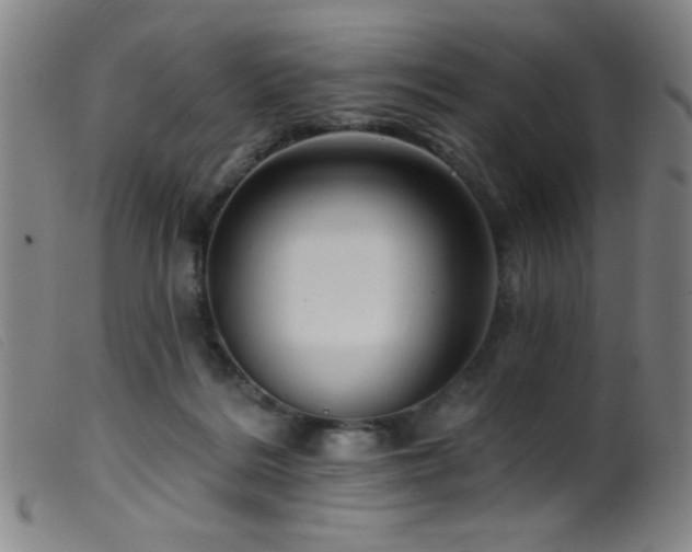 X0000099540220200805161435