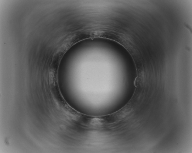 X0000099540222200805161435