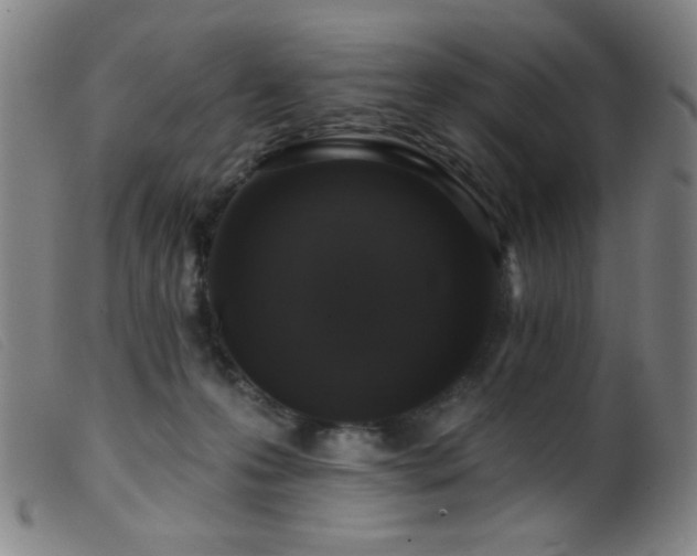 X0000099540223200805161435